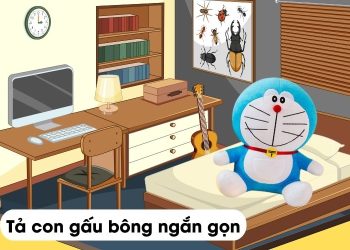 Văn tả gấu bông lớp 5 ngắn gọn nhất