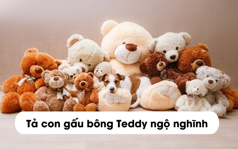 Bài văn tả gấu bông lớp 4 ngắn gọn