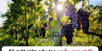 ta-mot-gian-cay-leo-ngan-gon-nhat-lop-5-min