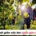 ta-mot-gian-cay-leo-ngan-gon-nhat-lop-5-min