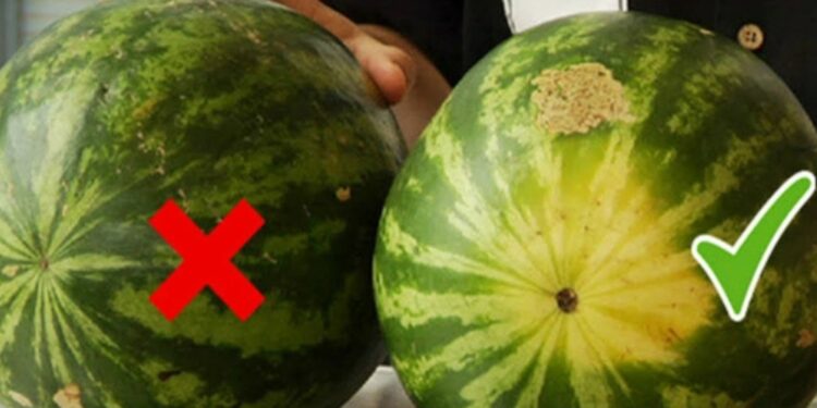 bài văn tả quả dưa hấu lớp 4,5 ngắn gọn, hay nhất