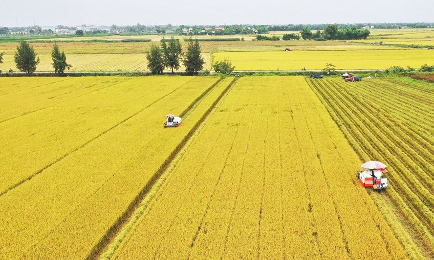 Trắc nghiệm địa 12 bài 22