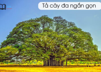 Bài văn tả cây đa cổ thụ lớp 4,5 ngắn gọn, hay nhất