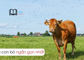 Bài văn Tả Con Bò lớp 4 ngắn gọn nhất