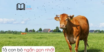 Bài văn Tả Con Bò lớp 4 ngắn gọn nhất