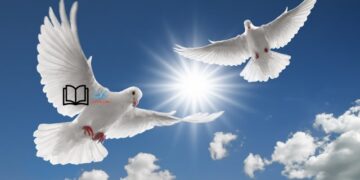 bài văn tả con chim bồ câu lớp 4,5 ngắn gọn