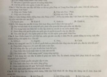 de-thi-thu-khao-sat-mon-lich-su-ha-noi-2024-co-dap-an-4