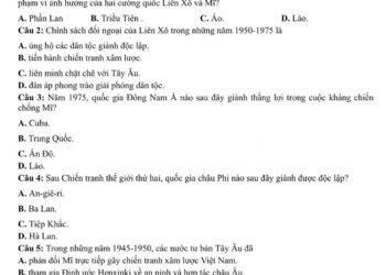 de-thi-thu-lich-su-thpt-quoc-gia-2024-tinh-ha-tinh-co-dap-an-min