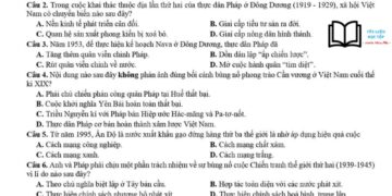 de-thi-thu-thptqg-2024-mon-lich-su-tinh-lao-cai-co-dap-an