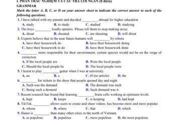 đề cương, đề thi đánh giá năng lực môn tiếng anh pdf