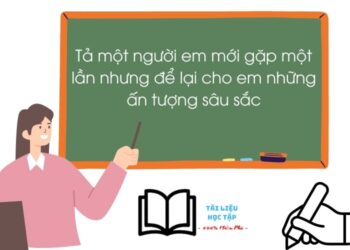 Tả một người em mới gặp một lần nhưng để lại cho em những ấn tượng sâu sắc