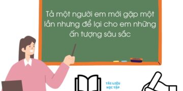 Tả một người em mới gặp một lần nhưng để lại cho em những ấn tượng sâu sắc