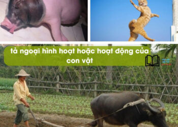 tả hình dáng hoặc hoạt động của một con vật mà em thích