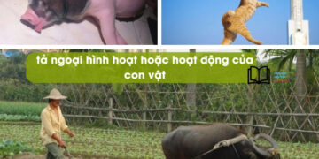 tả hình dáng hoặc hoạt động của một con vật mà em thích