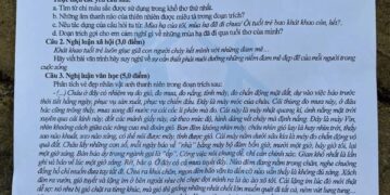 Dự đoán đề thi văn vào lớp 10 tỉnh Nghệ An 2024