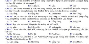 Đề thi thử tốt nghiệp môn địa Lý tỉnh Nam Định 2024 lần 1