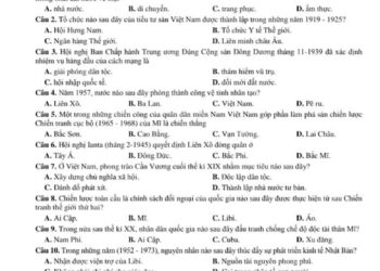 de-thi-thu-tot-nghiep-lich-su-tinh-nam-dinh-2024