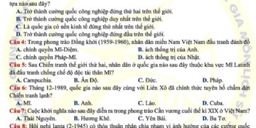 de-thi-thu-lich-su-thptqg-tinh-tien-giang-2024-316