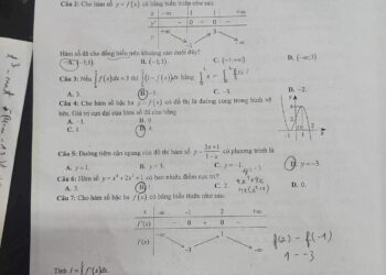 de-thi-thu-toan-thpt-quoc-gia-2024-nam-dinh-lan-2