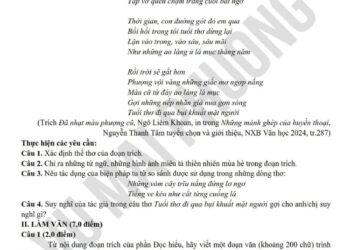 Đề thi thử văn THPT quốc gia 2024 tỉnh Nam Định lần 2