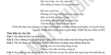 Đề thi thử văn THPT quốc gia 2024 tỉnh Nam Định lần 2