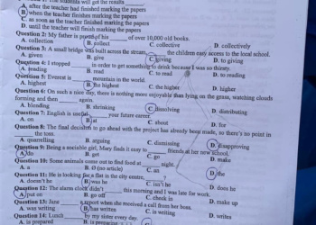 Đề thi tiếng anh thpt quốc gia 2024
