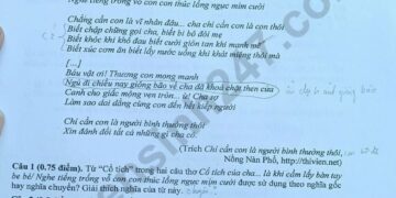 de-thi-vao-lop-10-mon-van-2023-dong-nai-1-result