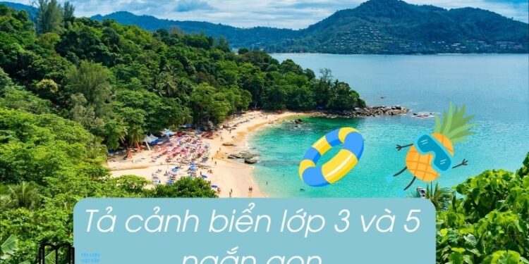 bài văn tả cảnh biển lớp 3 và 5 ngắn gọn nhất