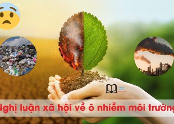 Nghị luận về ô nhiễm môi trường lớp 6,7 và 8