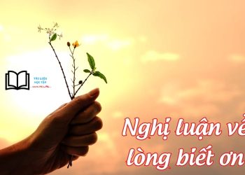 Nghị luận xã hội về lòng Biết Ơn