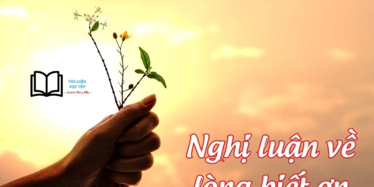 Nghị luận xã hội về lòng Biết Ơn
