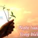 Nghị luận xã hội về lòng Biết Ơn