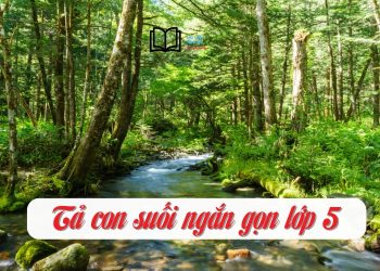 Tập làm văn lớp 5 tả con suối ngắn gọn 3 mẫu