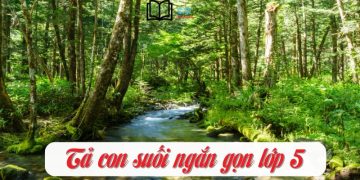 Tập làm văn lớp 5 tả con suối ngắn gọn 3 mẫu