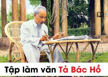 Bài văn tả về Bác Hồ lớp 4,5 và 7 ngắn gọn, hay nhất