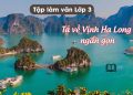 4 bài văn tả về vịnh Hạ Long ngắn gọn, hay nhất lớp 3,4 và 5