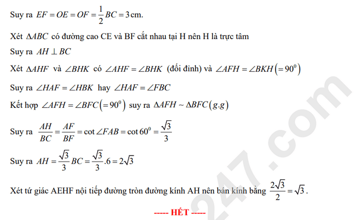 Đáp án Đề minh hoạ môn toán vào lớp 10 TPHCM 2025 9
