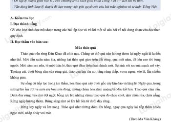 Đề ôn thi kiểm tra giữa HK1 môn tiếng Việt lớp 5 đề số 1