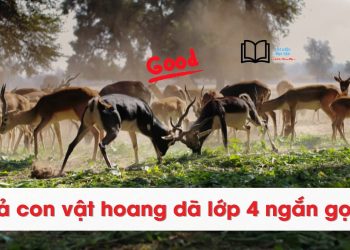 Tả con vật Hoang Dã lớp 4 ngắn gọn nhất