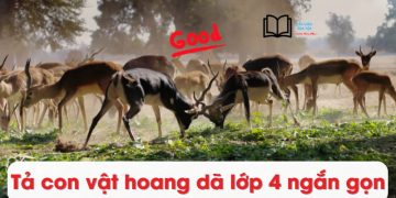 Tả con vật Hoang Dã lớp 4 ngắn gọn nhất