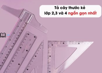 Bài văn tả về cây thước kẻ lớp 2,3,4 và 5 ngắn gọn nhất 10 mẫu
