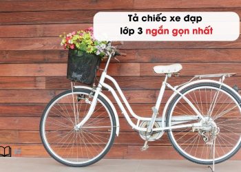 Văn tả chiếc xe đạp lớp 2,3,4 và 5 ngắn gọn nhất