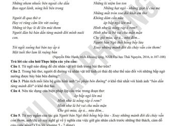 Đề thi thử môn văn THPTQG 2025 tỉnh Ninh Bình