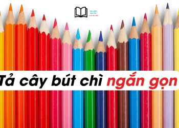 4 bài văn tả cây bút chì lớp 2,3,4 ngắn gọn nhất 8 điểm