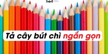 4 bài văn tả cây bút chì lớp 2,3,4 ngắn gọn nhất 8 điểm