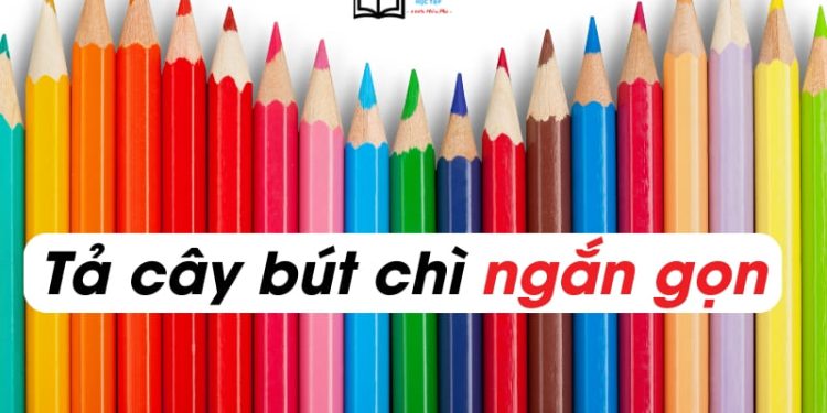 4 bài văn tả cây bút chì lớp 2,3,4 ngắn gọn nhất 8 điểm