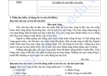 Bộ đề thi tiếng việt lớp 4 học kì 1 có đáp án (10 đề)