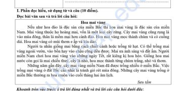 Bộ đề thi tiếng việt lớp 4 học kì 1 có đáp án (10 đề)
