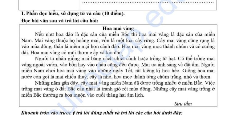 Bộ đề thi tiếng việt lớp 4 học kì 1 có đáp án (10 đề)