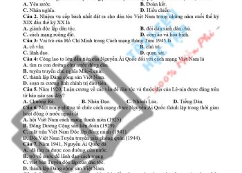 Đề ôn thi lịch sử lớp 12 học kì 1 Sách Cánh Diều  chương trình mới